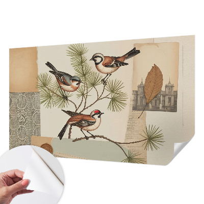 Fotomurale per bambini collage di uccelli