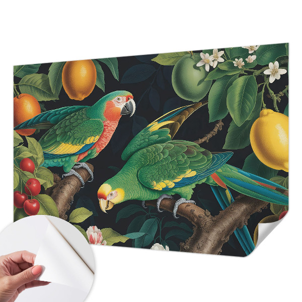 Fotomurale adesivo Avventura tropicale