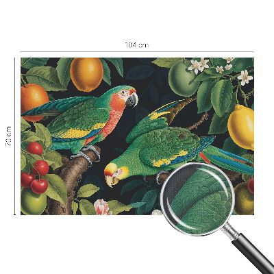 Fotomurale adesivo Avventura tropicale