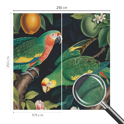 Fotomurale adesivo Avventura tropicale