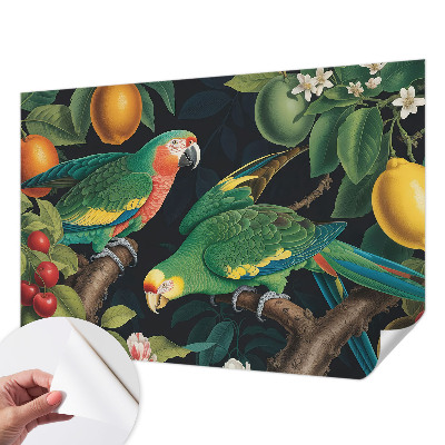 Fotomurale adesivo Avventura tropicale