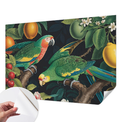 Fotomurale adesivo Avventura tropicale