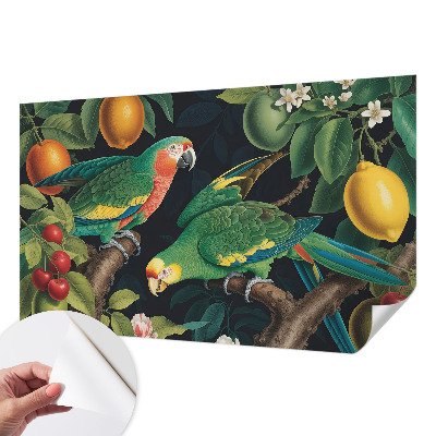 Fotomurale adesivo Avventura tropicale