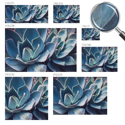 Fotomurale per cameretta Aloe verde
