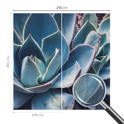 Fotomurale per cameretta Aloe verde