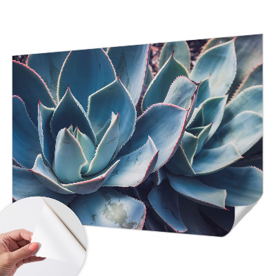 Fotomurale per cameretta Aloe verde