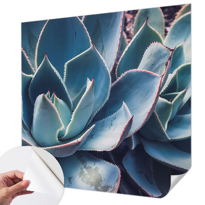 Fotomurale per cameretta Aloe verde