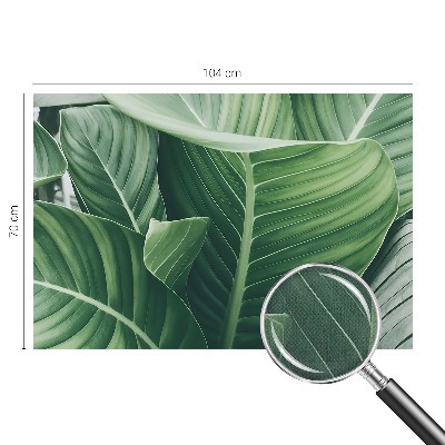 Carta da parati panoramica effetto 3D Pace verde