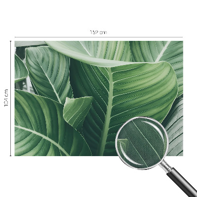 Carta da parati panoramica effetto 3D Pace verde