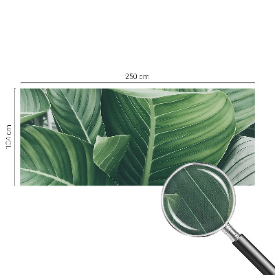 Carta da parati panoramica effetto 3D Pace verde