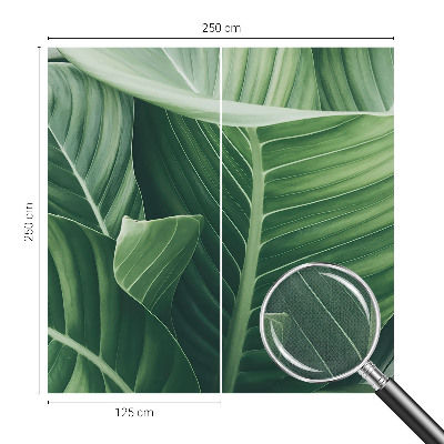 Carta da parati panoramica effetto 3D Pace verde