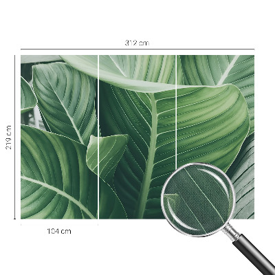 Carta da parati panoramica effetto 3D Pace verde