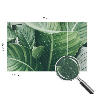 Carta da parati panoramica effetto 3D Pace verde