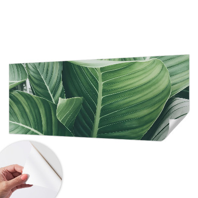 Carta da parati panoramica effetto 3D Pace verde