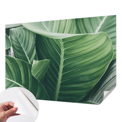 Carta da parati panoramica effetto 3D Pace verde