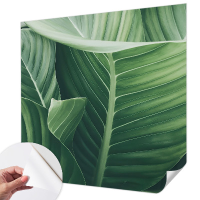 Carta da parati panoramica effetto 3D Pace verde