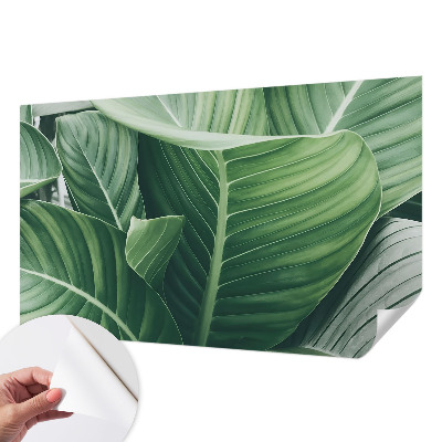 Carta da parati panoramica effetto 3D Pace verde