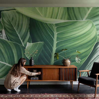 Carta da parati panoramica effetto 3D Pace verde