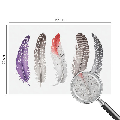 Carta da parati adesiva Piume decorate