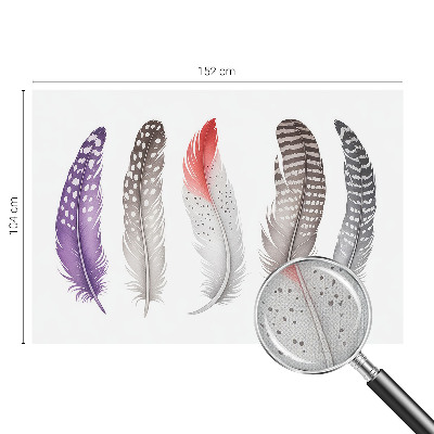 Carta da parati adesiva Piume decorate