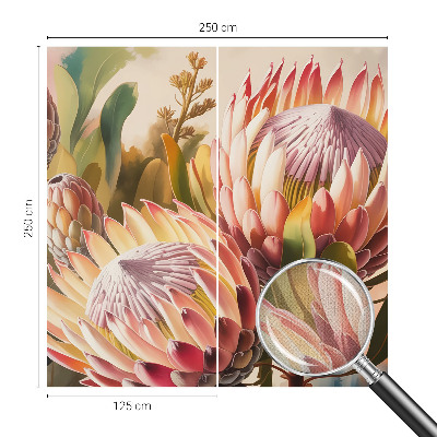 Fotomurale adesivo Fiori di protea