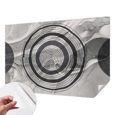 Fotomurale effetto 3D Cerchi grigi