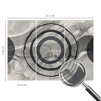 Fotomurale effetto 3D Cerchi grigi