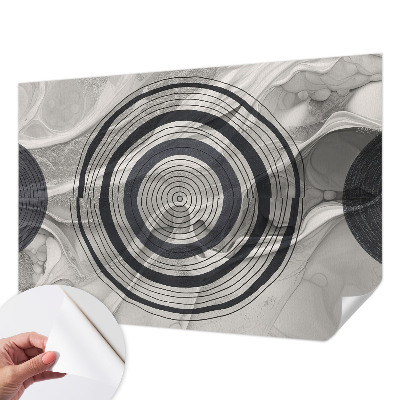 Fotomurale effetto 3D Cerchi grigi