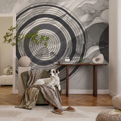 Fotomurale effetto 3D Cerchi grigi