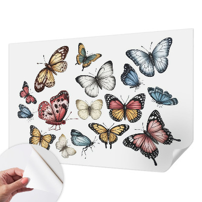 Carta da parati adesiva Farfalle del Paradiso