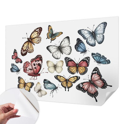 Carta da parati adesiva Farfalle del Paradiso