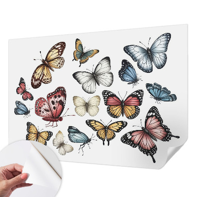 Carta da parati adesiva Farfalle del Paradiso