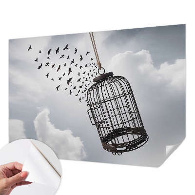 Fotomurale adesivo Uccelli volanti