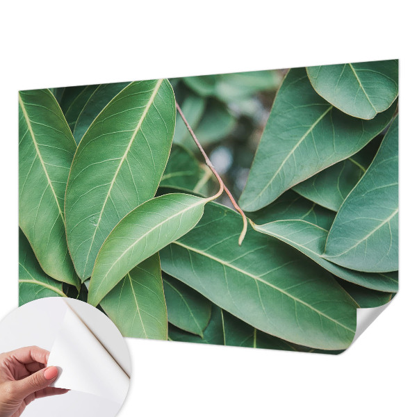 Carta da parati per cameretta Foglie verdi