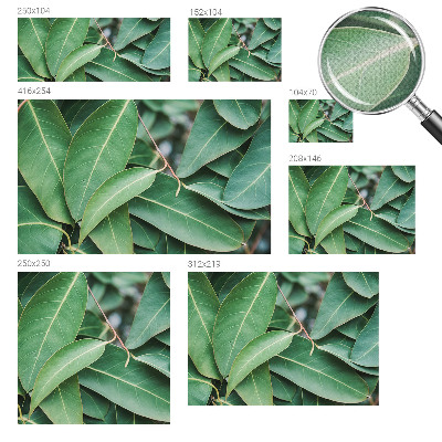 Carta da parati per cameretta Foglie verdi