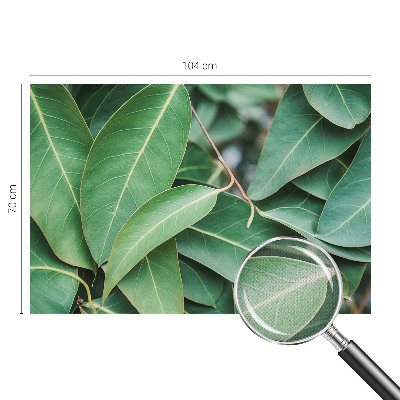 Carta da parati per cameretta Foglie verdi