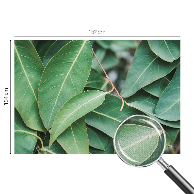 Carta da parati per cameretta Foglie verdi