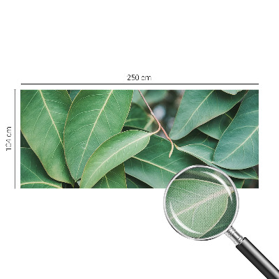 Carta da parati per cameretta Foglie verdi