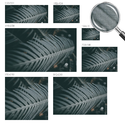 Fotomurale adesivo Foglia verde