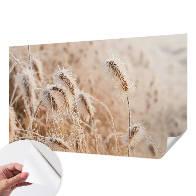 Fotomurale 3D Paesaggio invernale