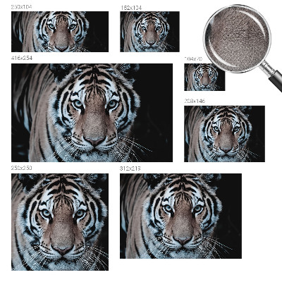 Fotomurale effetto 3D Ritratto di tigre