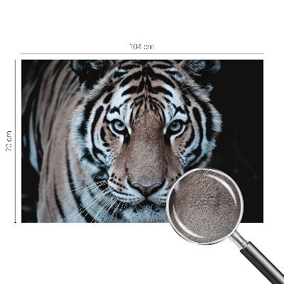 Fotomurale effetto 3D Ritratto di tigre