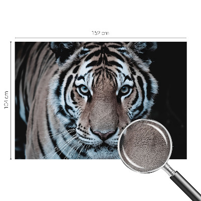 Fotomurale effetto 3D Ritratto di tigre