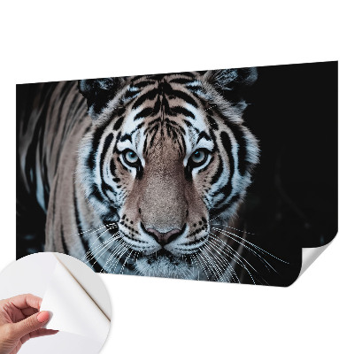 Fotomurale effetto 3D Ritratto di tigre