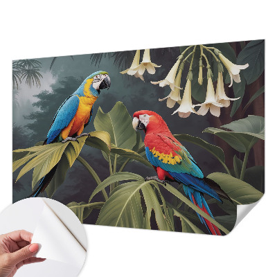 Carta da parati adesiva pappagalli colorati