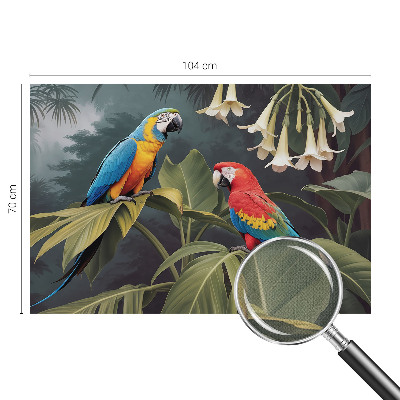 Carta da parati adesiva pappagalli colorati