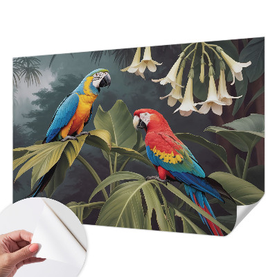 Carta da parati adesiva pappagalli colorati