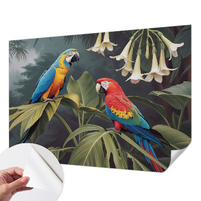Carta da parati adesiva pappagalli colorati