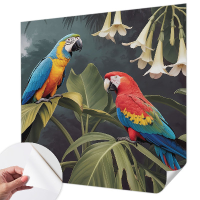 Carta da parati adesiva pappagalli colorati