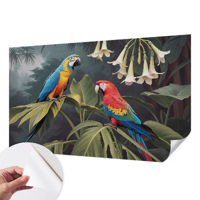 Carta da parati adesiva pappagalli colorati